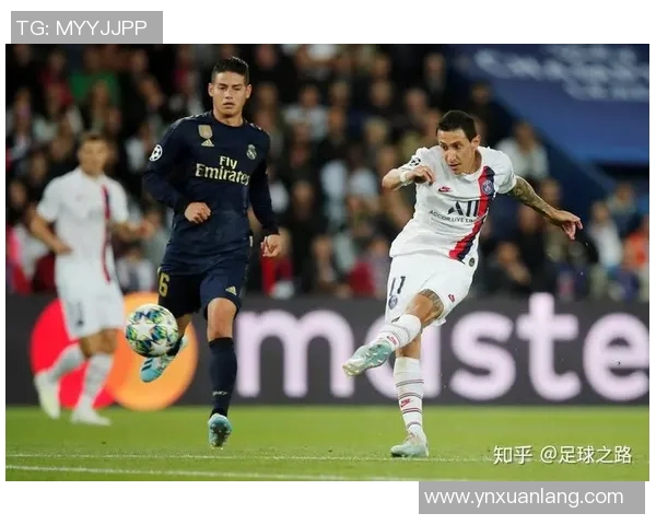 运动最新数据深圳足球队转型之路解析与未来发展展望