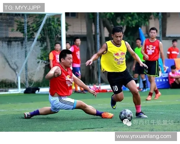 实时新闻深圳篮球队耐力变革引发热议球迷期待新赛季表现提升